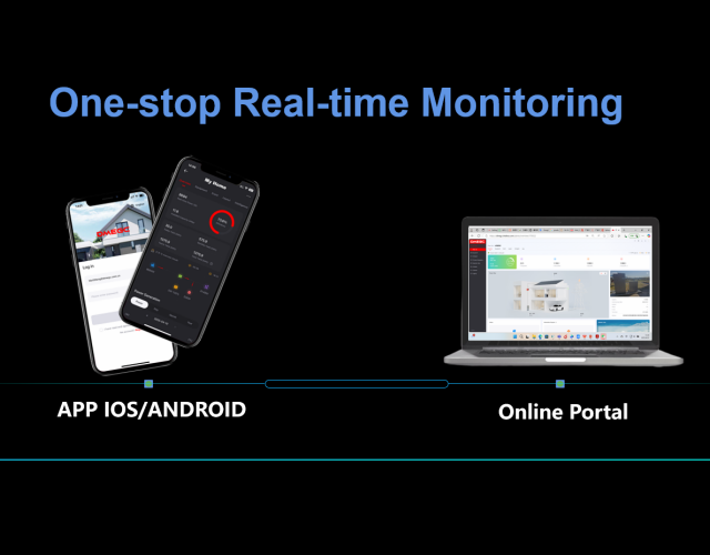 DMEG app web online monitoring